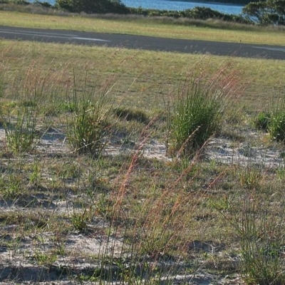 Jackie Miles, Merimbula airport