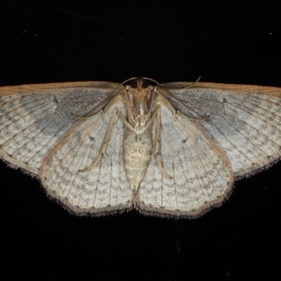 Underside