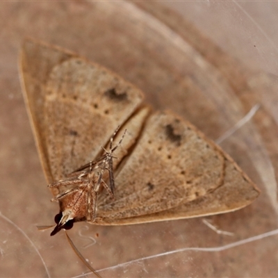 Underside