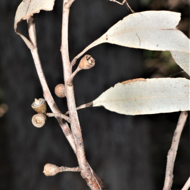 View sample image gallery