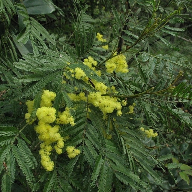 View sample image gallery