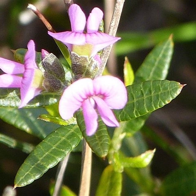 View sample image gallery
