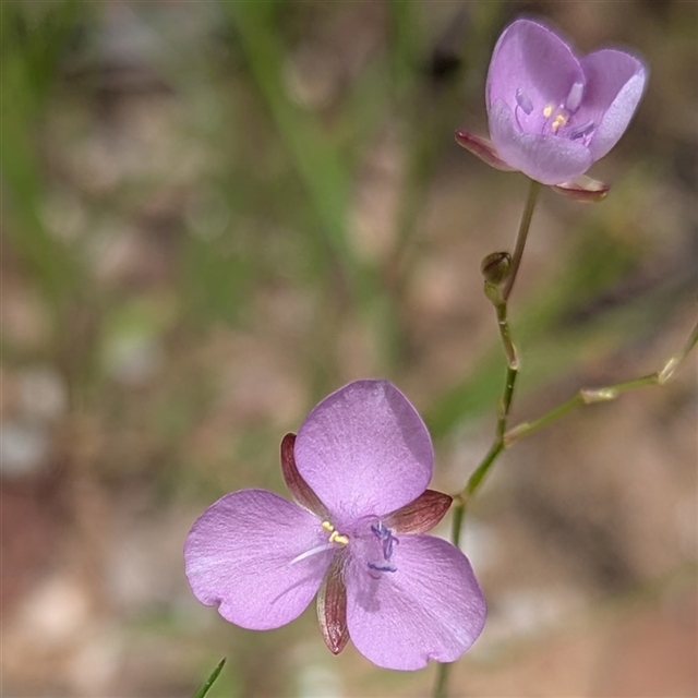 View sample image gallery