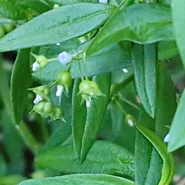View sample image gallery