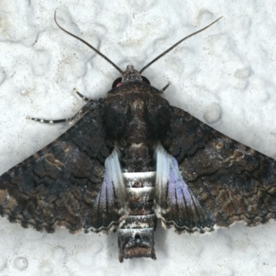 Male