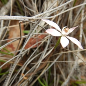 Fire and Orchids ACT Citizen Science Project at Point 120 - 30 Oct 2016