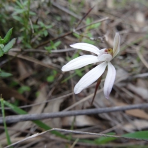 Fire and Orchids ACT Citizen Science Project at Point 5204 - 24 Sep 2014