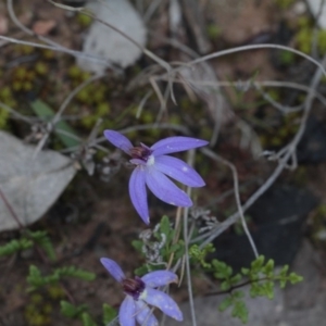 Fire and Orchids ACT Citizen Science Project at Point 4761 - 24 Sep 2016