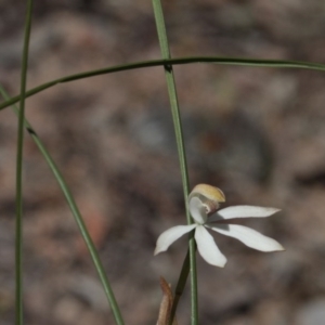 Fire and Orchids ACT Citizen Science Project at Point 85 - 6 Nov 2016