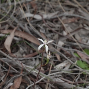 Fire and Orchids ACT Citizen Science Project at Point 85 - 7 Oct 2016