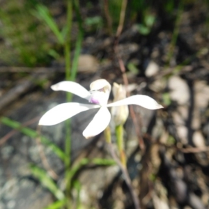 Fire and Orchids ACT Citizen Science Project at Point 5821 - 15 Oct 2016