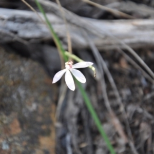 Fire and Orchids ACT Citizen Science Project at Point 4010 - 25 Sep 2016