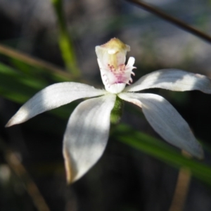 Fire and Orchids ACT Citizen Science Project at Point 5832 - 7 Nov 2016