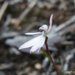 Fire and Orchids ACT Citizen Science Project at Point 5832 - 6 Oct 2016