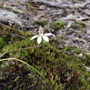 Fire and Orchids ACT Citizen Science Project at Point 5820 - 8 Oct 2016