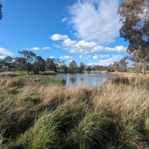 FrogWatch survey at HAR001: Harrison Pond - 5 Oct 2023