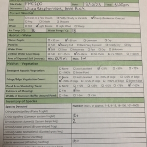 FrogWatch survey at FMC200: Mt Majura 1 Lower - 13 Oct 2023