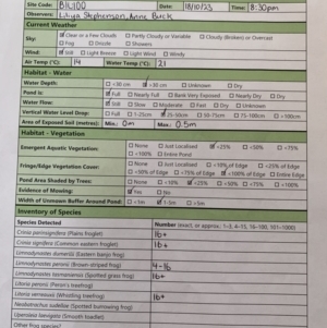 FrogWatch survey at BIL100: Billabong Pond, Watson - 18 Oct 2023