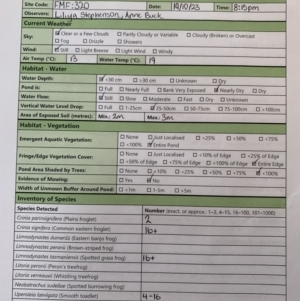 FrogWatch survey at FMF320: JR Hope Park - 19 Oct 2023