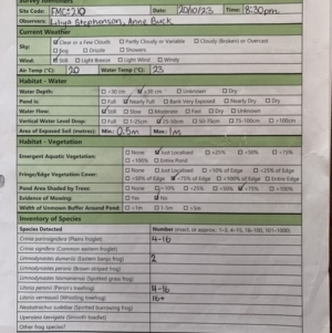 FrogWatch survey at FMC210: Mt Majura 2 Upper - 20 Oct 2023