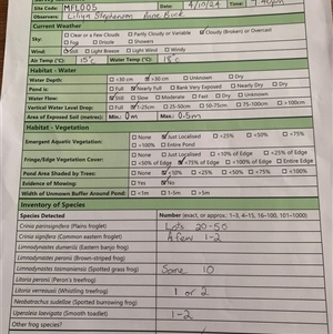 FrogWatch survey at MFL005: 250m N of Woolshed - 4 Oct 2024