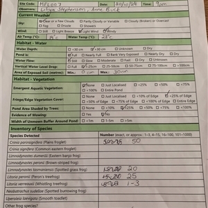 FrogWatch survey at MFL007: Mulligans Flat 7 - 20 Oct 2024