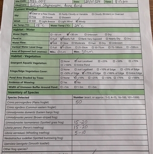 FrogWatch survey at MFL005: 250m N of Woolshed - 20 Oct 2024