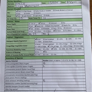 FrogWatch survey at FMC210: Mt Majura 2 Upper - 13 Oct 2024