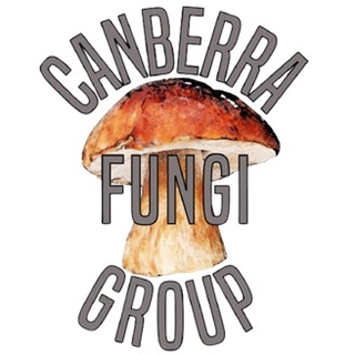 CanberraFungiGroup